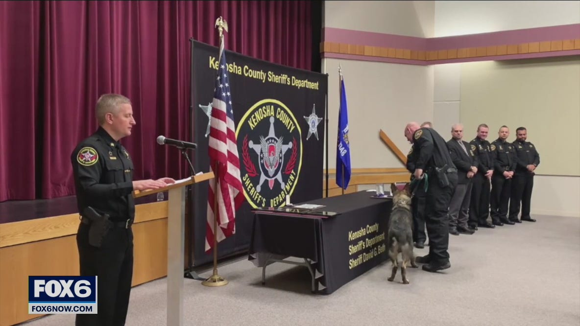 K-9 Riggs honored with Silver Star
